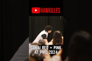 Gokaigers at Power Morpicon 2024!
