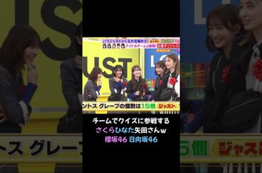 チームでクイズに参戦する さくらひなた矢田さんｗ #櫻坂46 #日向坂46 #ラヴィット