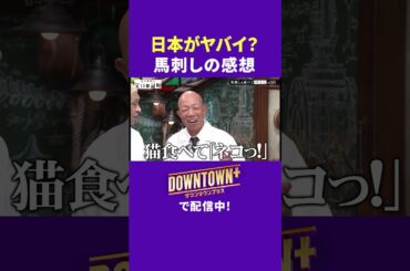 日本がヤバイ!馬刺しの感想に松本が物申す  #実験 #ダウンタウンプラス