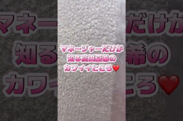 【マネカワ】ぬいぐるみとハートに囲まれる高田憂希 #shorts