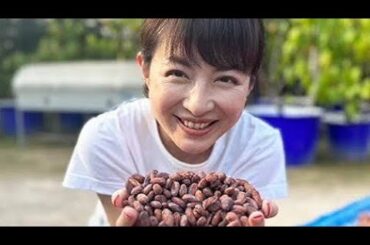 平井理央「タイのランパーンまでカカオ豆を視察」チョコレートで起業し奮闘した1年「低GIで乳酸菌約1000億個のチョコを」