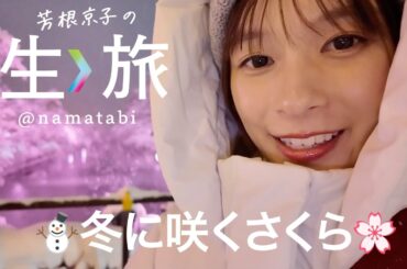 大盛ラーメン、焙煎にりんご皮剥き、冬に咲くさくらは雪の弘前だべ