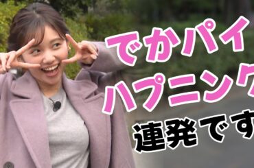 【田中瞳（テレビ東京アナウンサー）】頑張り屋の「モヤさま」アナウンサーは、「お硬い」のもお好き！