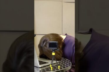 【上田麗奈】パワハラ質問(台本)を受けるうえしゃま