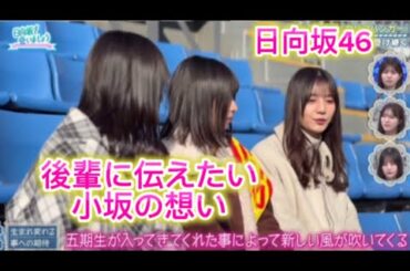 名前が変わった日から今まで｜小坂菜緒が歩んだ道