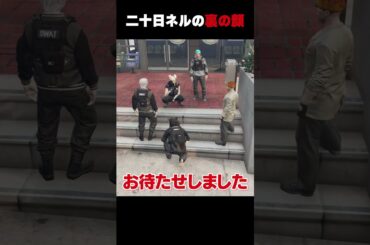 【#ストグラ】二十日ネルの裏の顔【犬上リオ/ストグラ切り抜き】