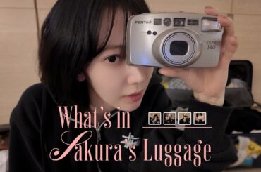 보부상 협회 : 사쿠라씨 보부상 이견 없습니다 🙅‍♀️ | 꾸라의 What's in my luggage 🧳