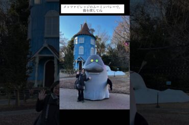 ムーミンの物語に猫は？ #川上麻衣子 #川澄綾子 #cat