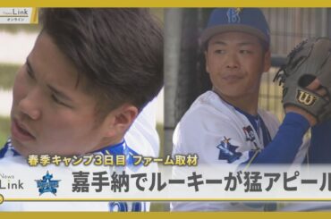 横浜DeNAベイスターズ 沖縄キャンプ3日目 嘉手納町でのファーム練習ルーキーたちが猛アピール！！【News Linkオンライン】