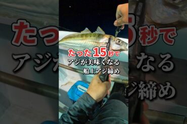 たった15秒で釣れたアジが美味くなる方法 #アジング