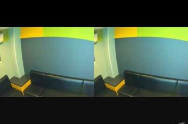 【幽☆遊☆白書】HOLD OUT!!／ぼたん(深雪さなえ)/雪村螢子(天野由梨)/雪菜(白鳥由里)  [一人三役でまた歌ってみた]【うたスキ動画】