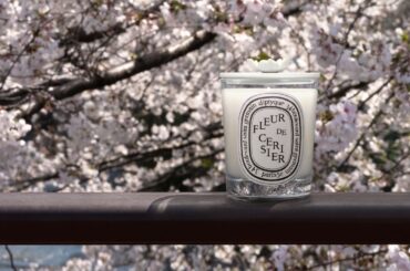 ディプティックの満開の桜の木を表現したキャンドルが期間限定で再登場 | Vogue Japan