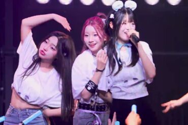 240811 프록시마 클럽 미래 - 영원 + Neko Diver + うりゃおい + Plastic 2 Mercy 『RAN BIRTHDAY』 직캠