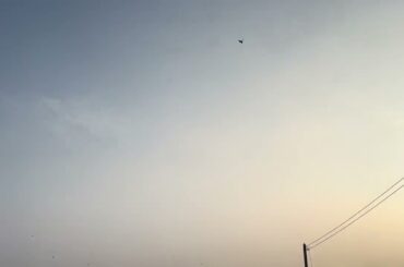 250928 田中美麗的景與飛鳥