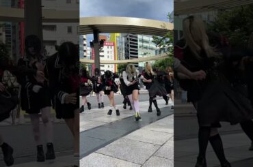 ツーステツーステツーステ #アイドル #ライブ #v系 #バンド