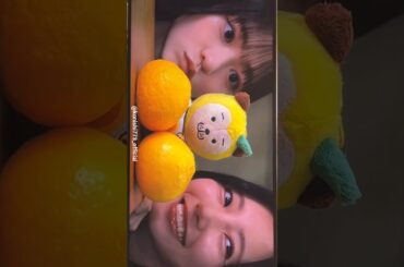 小西夏菜実 正源司陽子 こによーこで映像チェック♪日向坂46 日向坂ちゃんねる ひなたフェス 2026