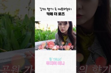 일본 애프터눈티 카페 추천☕️