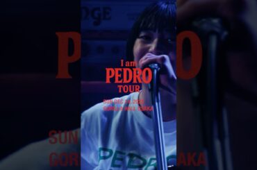 I am PEDRO TOUR FINAL [Full Live Video] #music #pedro #アユニd