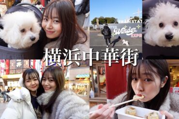 【家族全員集合】中華街で爆食い旅！ビションフリーゼのらむねとゆかいすぎる家族【横浜中華街】