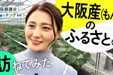 大阪府議会×久野静香 大阪府議会ウォッチング　「大阪産（もん）のふるさとを訪ねてみた」