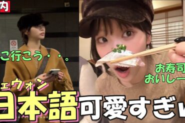 【LE SSERAFIM】チェウォンの日本の思い出を日本語で話してくれる声が可愛すぎるｗ【日本語字幕】