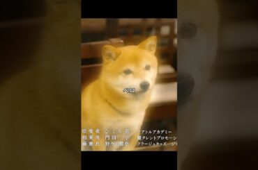 「妻、小学生になる」「やっぱ見えんのよ」本物の霊媒師が、インチキ人生相談の店を“本物”と認めた瞬間