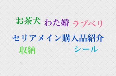 セリアメイン購入品紹介