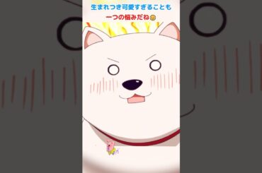 乗れないワンコでも、めちゃくちゃ可愛いよね！/アホガール/ばかびがく/悠木碧 / 杉田智和 / 原田彩枫 /shorts/movie