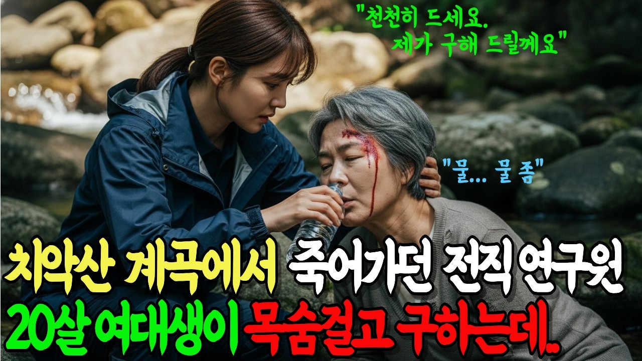 “등산 중 할머니를 구조했는데… 알고 보니 제 친엄마였습니다” (20년 만의 기적)「登山中、倒れていた女性を救助したら20年探していた実の母親だった件」 "등산 중 할머니를 구조했는데... 알고 보니 제 친엄마였습니다" (20년 만의 기적)「登山中、倒れていた女性を救助したら20年探していた実の母親だった件」