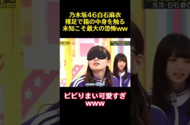 乃木坂46白石麻衣裸足で箱の中身を触る未知こそ最大の恐怖ww #funny #バラエティ #乃木坂46 #白石麻衣 #お笑い #かわいい