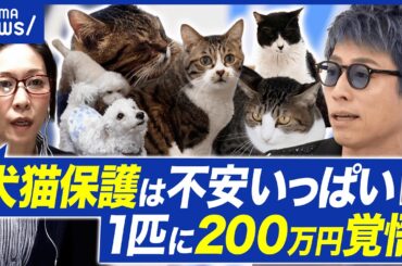【犬猫保護】「一匹200万円の覚悟」赤字運営は当たり前？“生体販売”への規制は？｜アベプラ