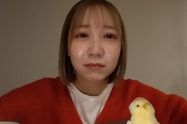 ソロデビューなんてしたくなかった。【Self-Introduction】