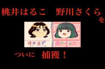 桃井はるこ　野川さくらをついに捕獲！