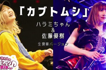 【ハラミちゃん&佐藤優樹】「カブトムシ」生演奏バージョン【キー↓】