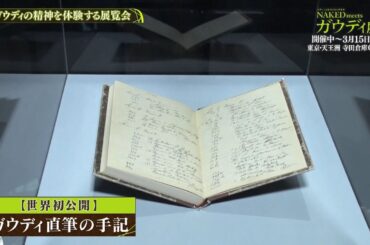 夜バゲット2月20日放送から『NAKED meets ガウディ展』をピックアップ配信！佐藤真知子＆住岡佑樹アナが展覧会をリポート！