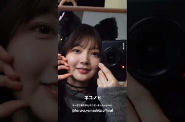山下葉留花 山口陽世 小西夏菜実 猫の日♪ミーグリお礼の動画♪2月22日 日向坂46 Instagram