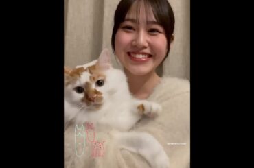 向井純葉 猫のいとちゃん♩ 猫の日 櫻坂46
