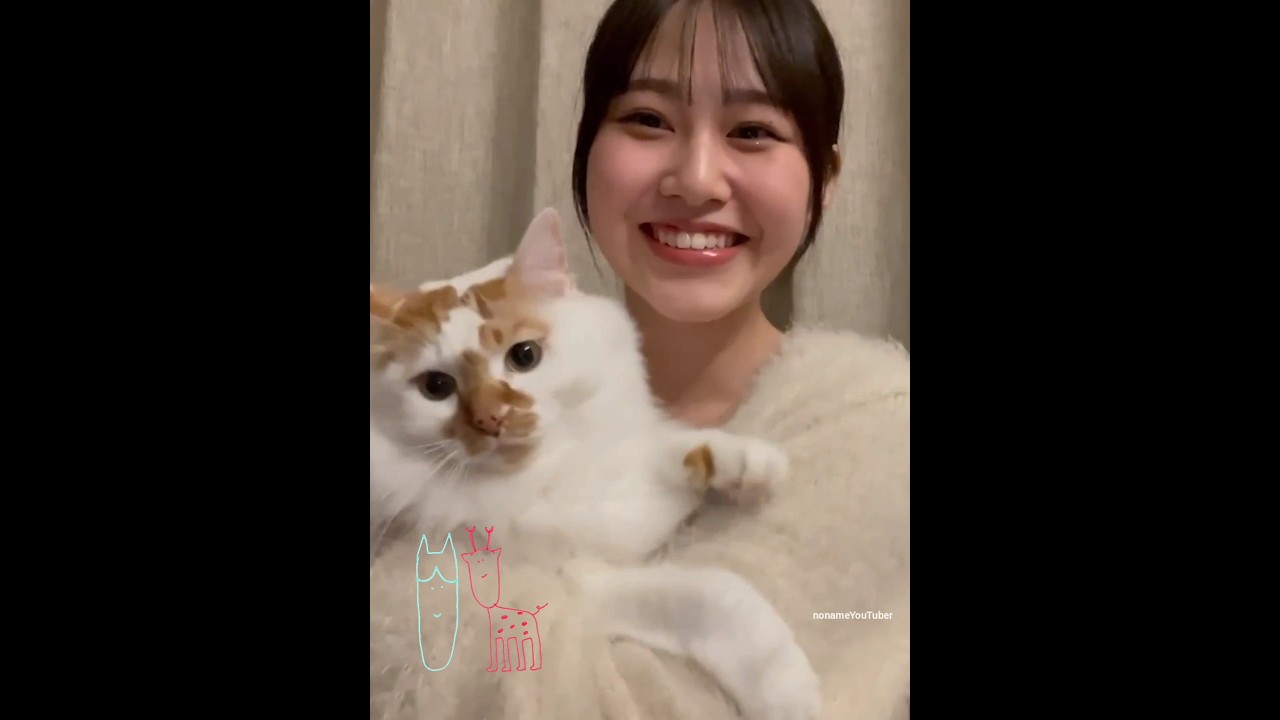 向井純葉 猫のいとちゃん♩ 猫の日 櫻坂46 向井純葉 猫のいとちゃん♩ 猫の日 櫻坂46
