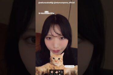 村山美羽 中川智尋 山田桃実 猫の日♪2月22日 Instagram 櫻坂46