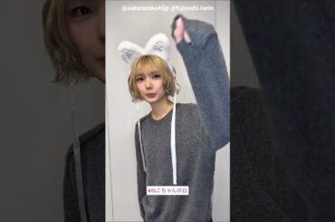 藤吉夏鈴 猫の日♪ 2月22日 櫻坂46 Instagram