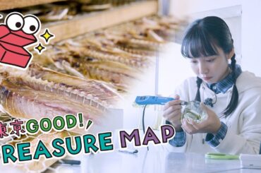 東京ＧＯＯＤ！ＴＲＥＡＳＵＲＥ ＭＡＰ ＃353【オリーブグリーンの輝きを纏うガラス　新島】