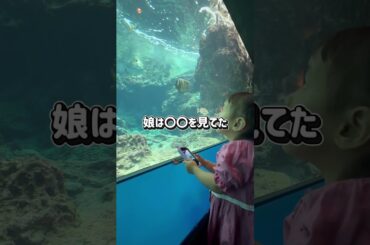 子供の見てる世界 #限界ママ #美ら海水族館 #2児ママ