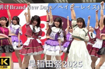 【#早稲田祭 2025】夜明けBrand New Days／ベイビーレイズJAPAN「ももキュン☆ × Prismile × 夏目坂46 × 君はトキシック」【早稲田大学 学園祭】4K撮影