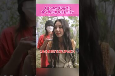 【応援】ナヨンのサプライズに全く気付かないチェヨン #kpop #twice #chaeyoung #nayeon