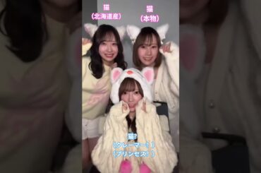 猫 猫 猫？ #石塚瑶季 #藤嶌果歩 #清水理央 #日向坂 #日向坂で会いましょう