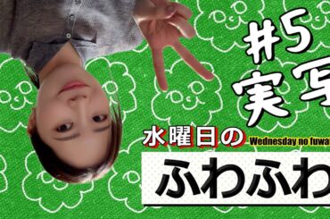 水曜日のふわふわ実写編