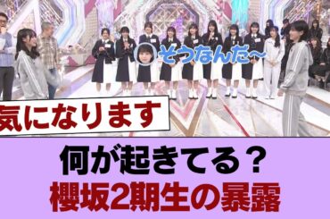 「先輩がやってない」櫻坂2期生が暴露した、バラエティの異常な実態 #櫻坂46 #櫻坂46の家