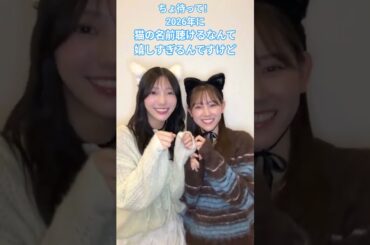 猫の名前聴けるなんて嬉しすぎるんですけど #小西夏菜実  #平岡海月 #日向坂 #けやき坂46  #日向坂で会いましょう