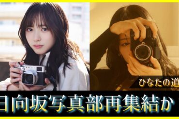 【ひなたの部活動】日向坂写真部再集結の可能性？！【日向坂46】