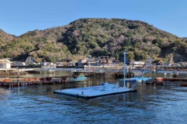 [沼津]諏訪ななかによるあわしまマリンパークのイルカショーのアナウンス 2026.1.9.